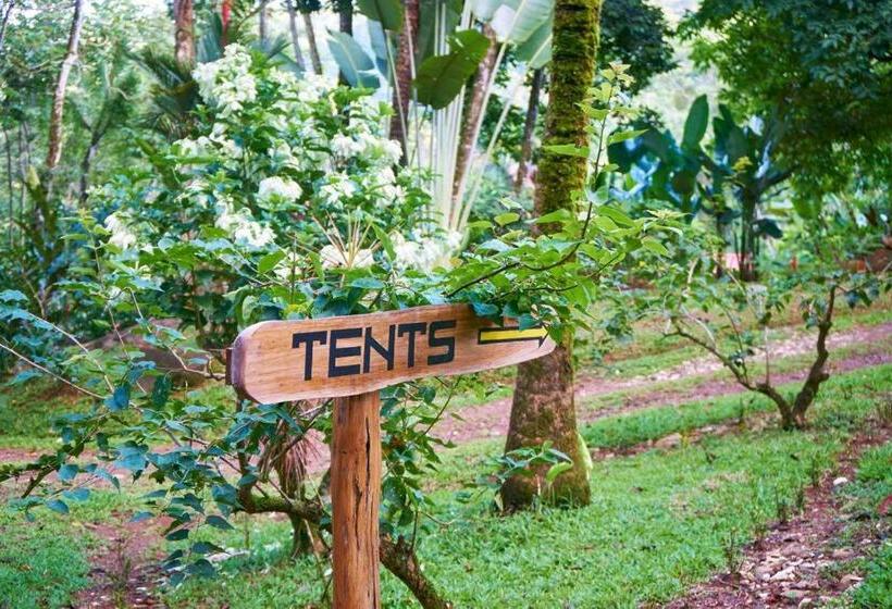 בית מלון כפרי Manoas