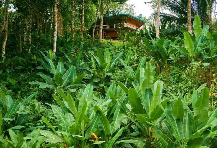 בית מלון כפרי Manoas