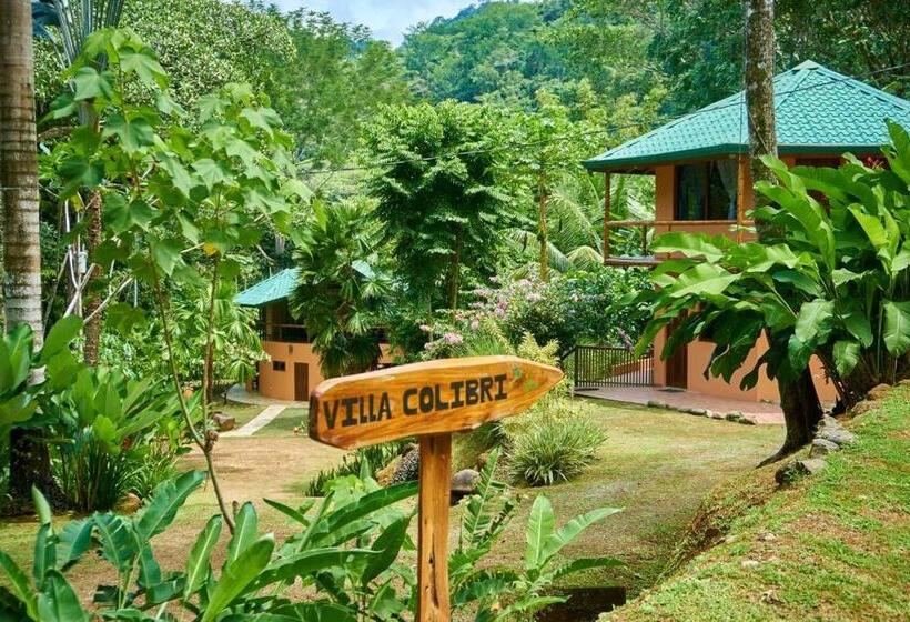 בית מלון כפרי Manoas