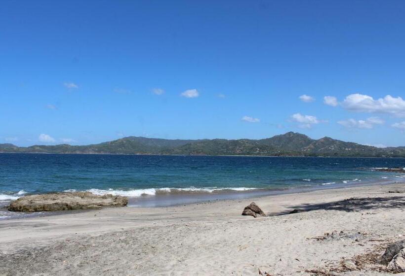 호텔 Flamingo Marina