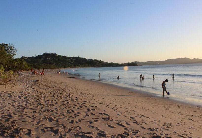 호텔 Flamingo Marina