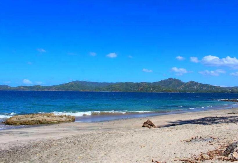 호텔 Flamingo Marina