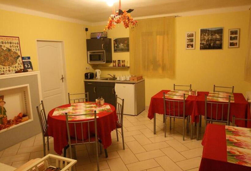 ホテル Na Vodách