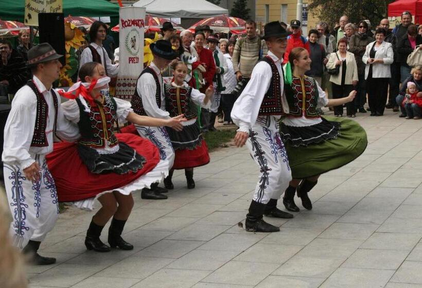 ホテル Na Vodách