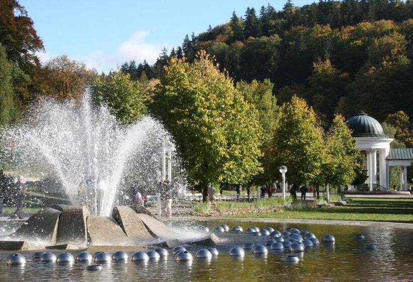 ホテル Na Vodách