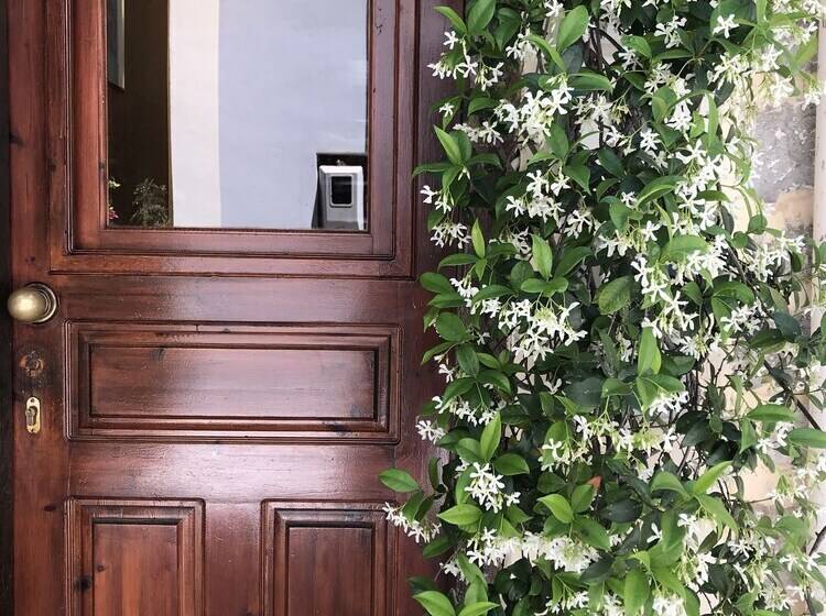 酒店 Five Seasons Pension