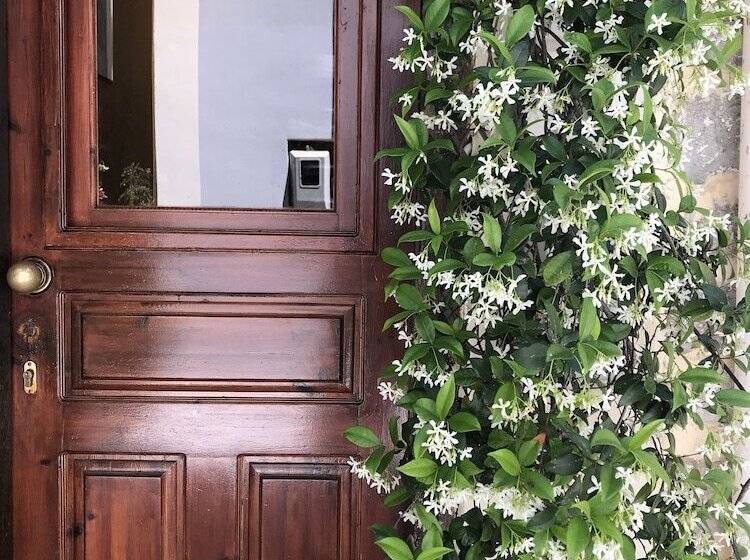 酒店 Five Seasons Pension