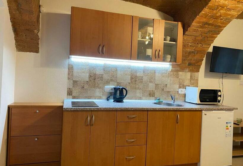 ホテル Pension U Starýho Dubu