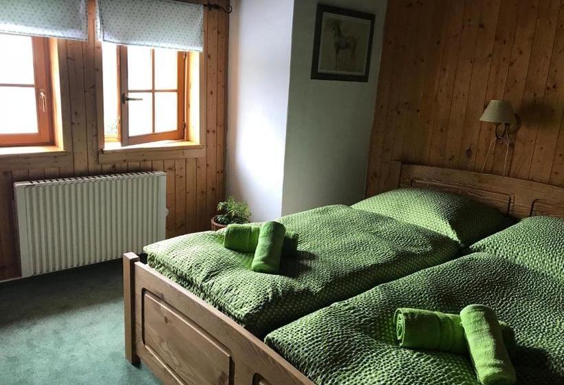 ホテル Penzion Alenka