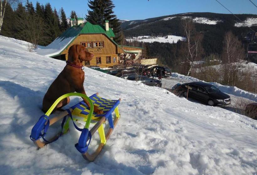 ホテル Penzion Alenka