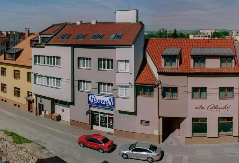 酒店 Penzion Na Dlouhé