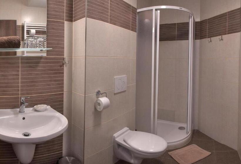 酒店 Penzion Na Dlouhé