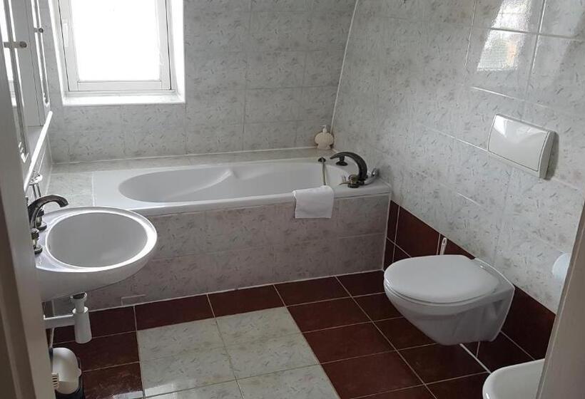 فندق Penzion Rossini