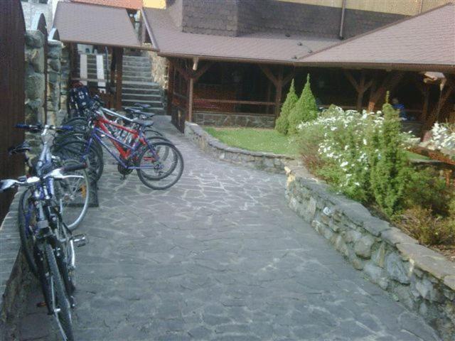 בית מלון כפרי Penzion U Holuba