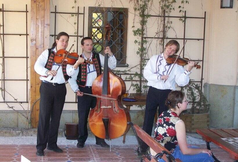 Отель Penzion U Kriveho Psa