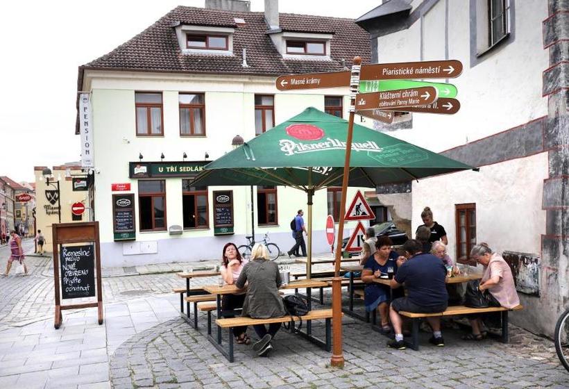 Отель Pension U Tří Sedláků