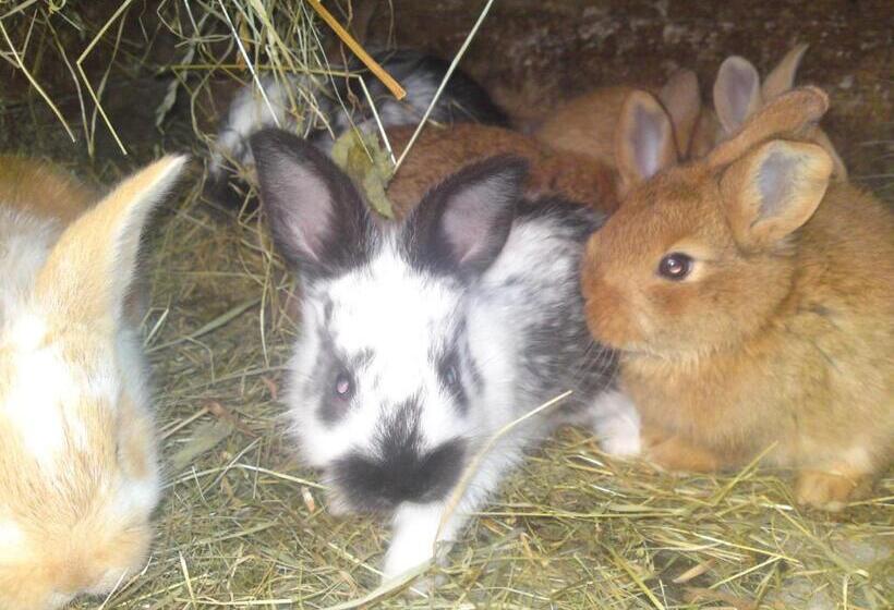 فندق Privat Apartma Ulrych