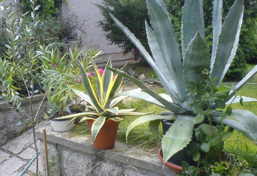 هتل Privat Apartma Ulrych