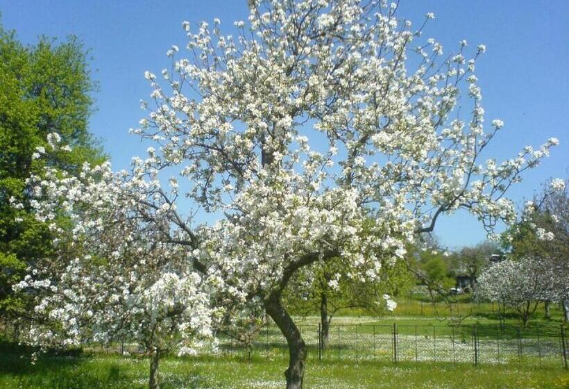 فندق Privat Apartma Ulrych