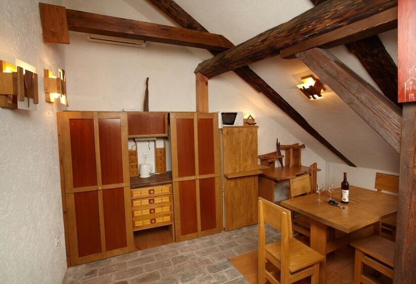 هتل Residence Muzeum Vltavinu