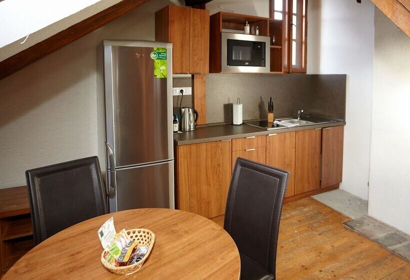 هتل Residence Muzeum Vltavinu