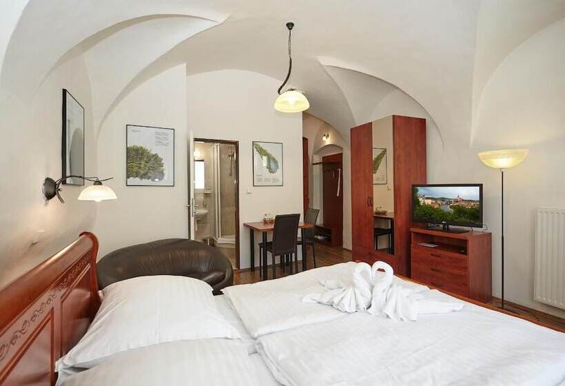 هتل Residence Muzeum Vltavinu