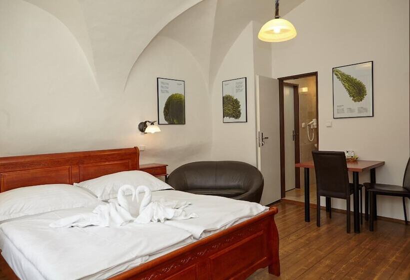 فندق Residence Muzeum Vltavinu