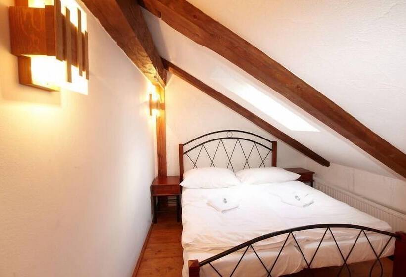 هتل Residence Muzeum Vltavinu