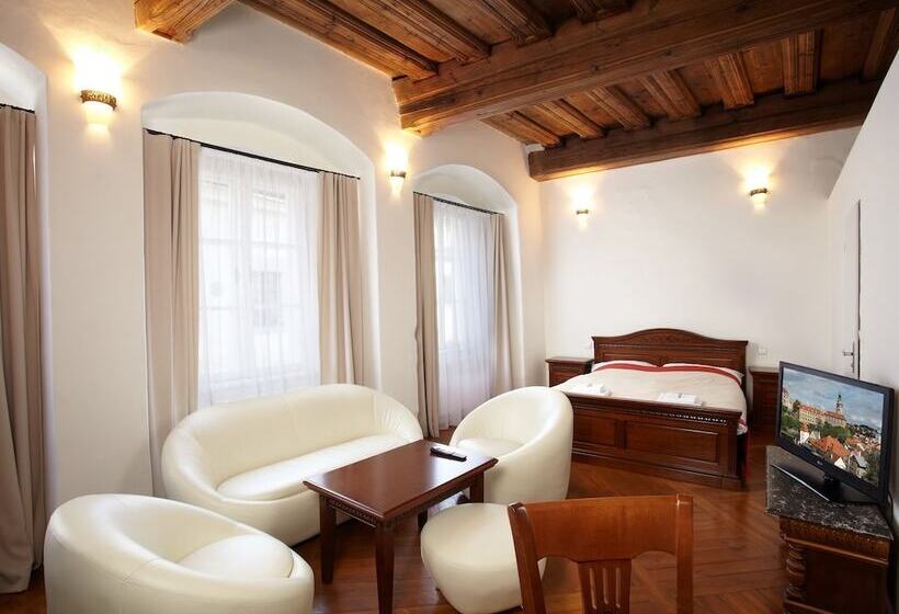 هتل Residence Muzeum Vltavinu