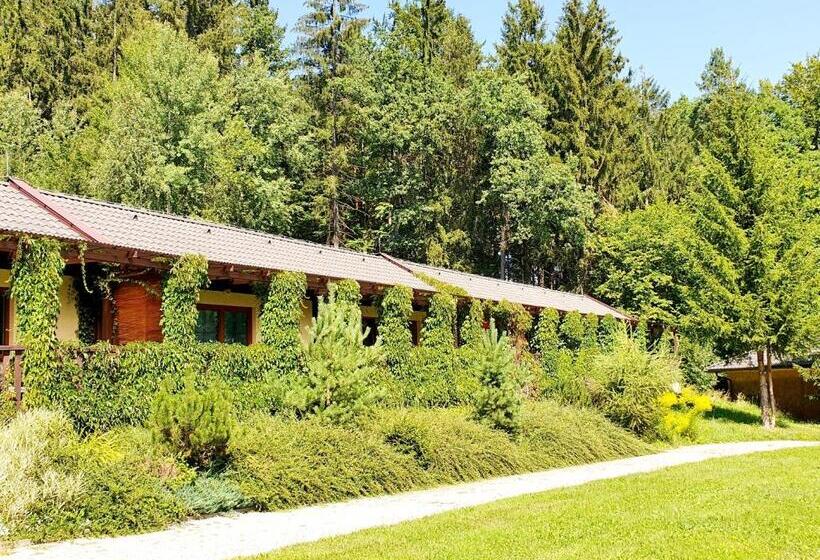 בית מלון כפרי Resort Lesní Lázně