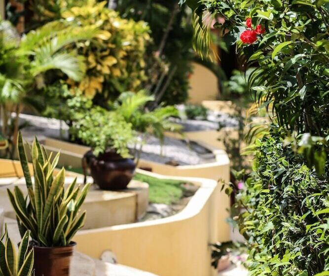 هتل Ritmo Tropical