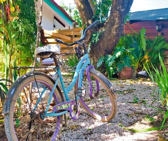 호텔 Samara Pacific Lodge