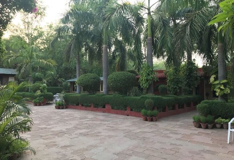 Отель Sheela, 100m From Taj Mahal