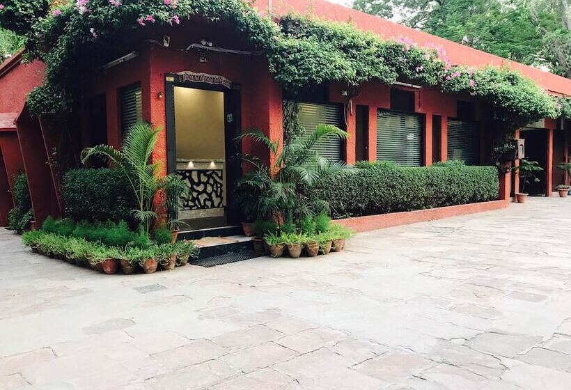 Отель Sheela, 100m From Taj Mahal