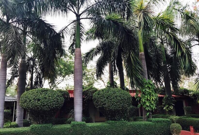 Отель Sheela, 100m From Taj Mahal