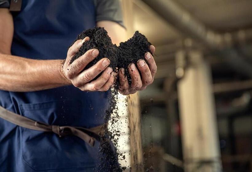 ホテル Spa Resort Tree Of Life