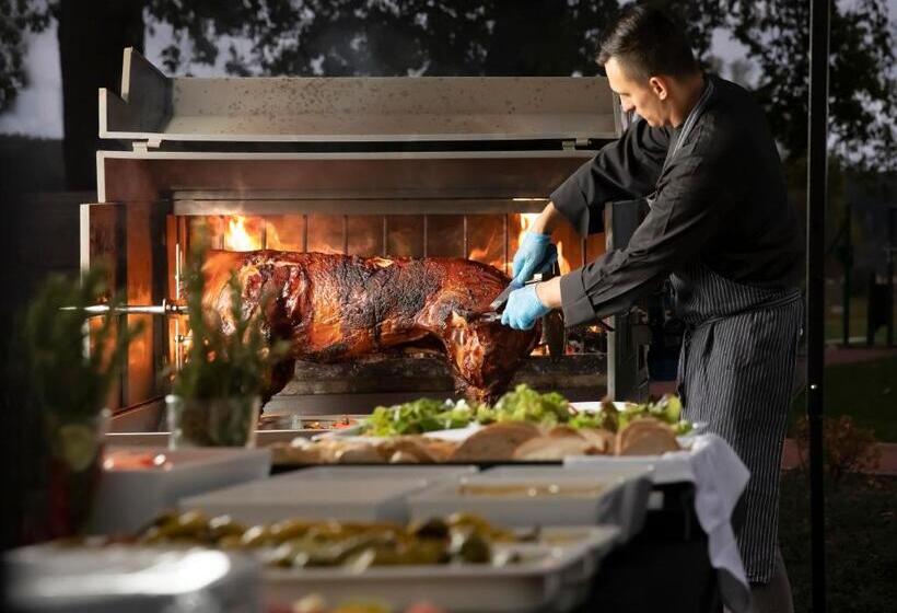 ホテル Spa Resort Tree Of Life