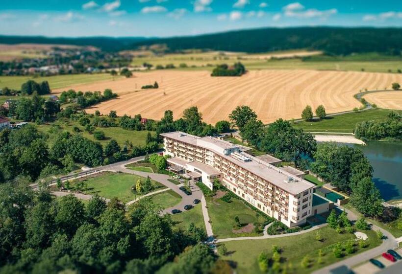 ホテル Spa Resort Tree Of Life