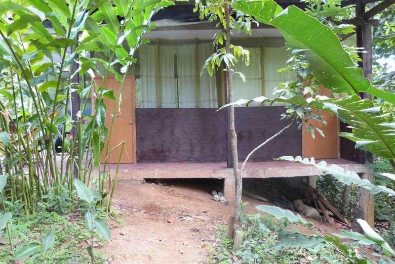 هتل Tarantula Hostel