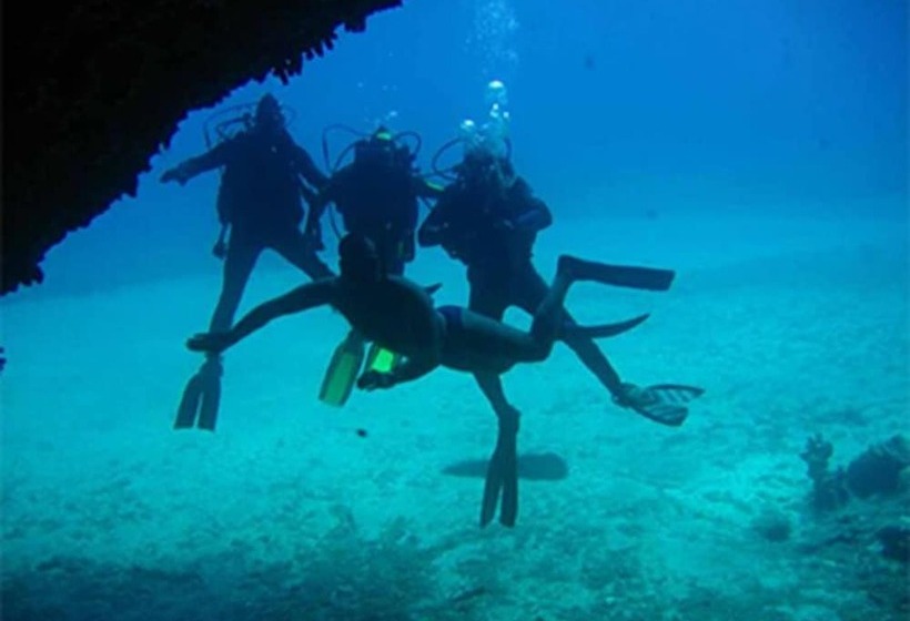 호텔 Troyan Hill Apartments