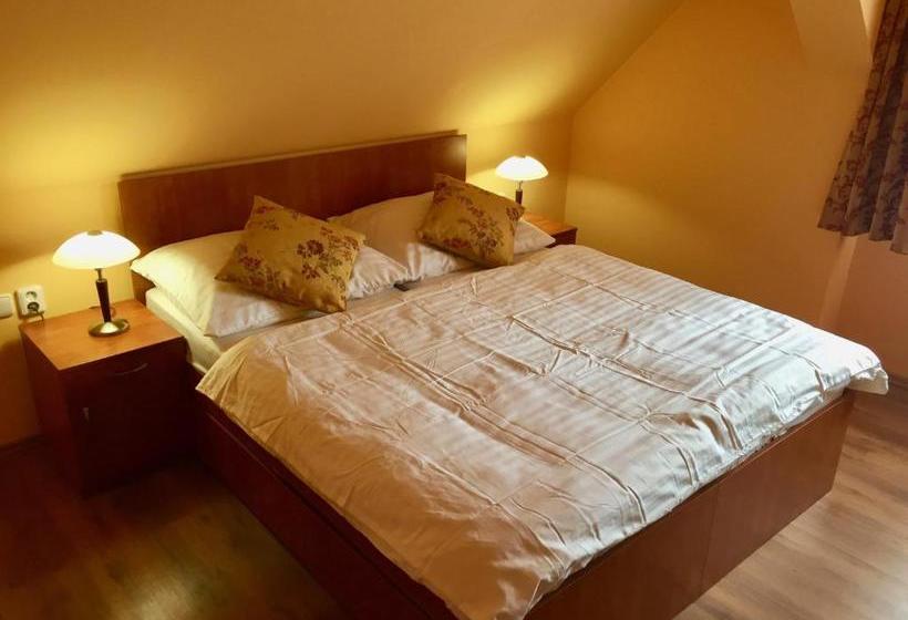 酒店 Penzion U Golema Blansko