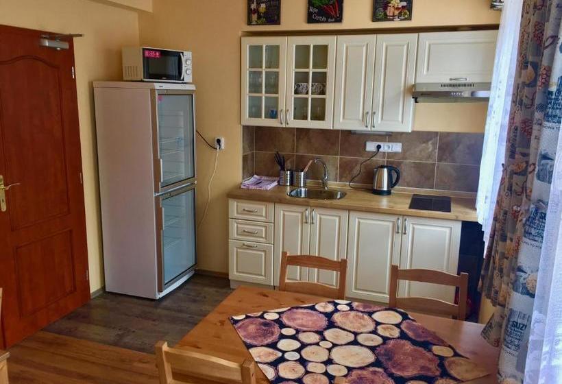 酒店 Penzion U Golema Blansko