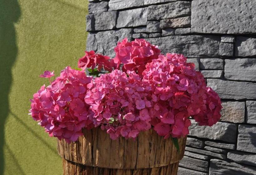 בית מלון כפרי Ubytování Cukrovar