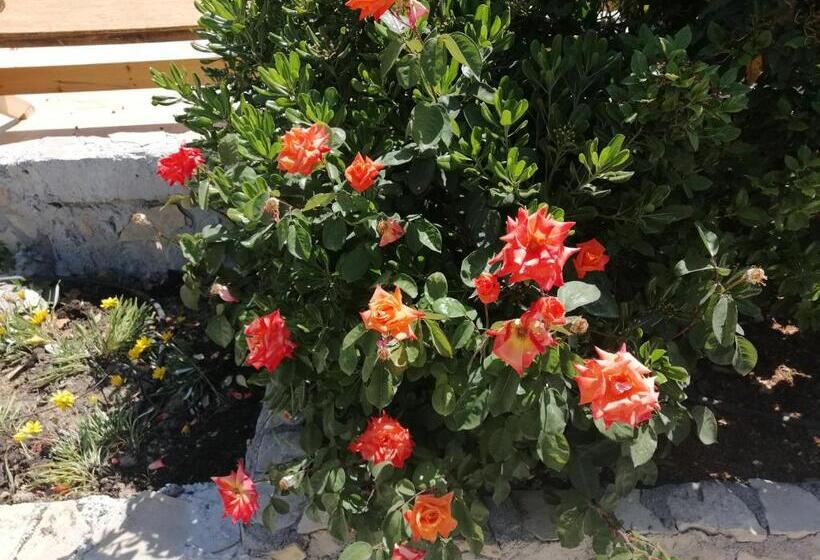 בית מלון כפרי Villa Costas   Popi