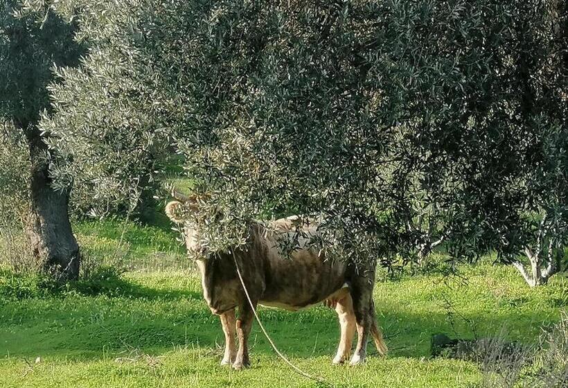 בית מלון כפרי Villa Costas   Popi