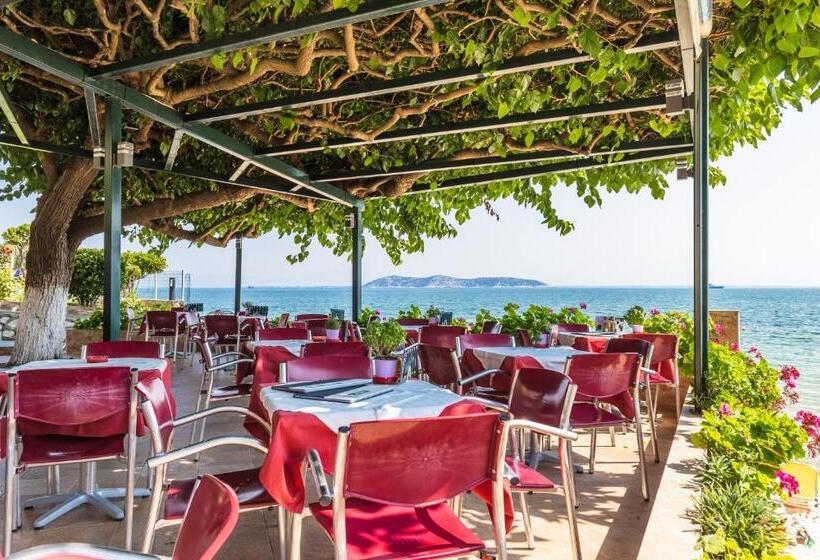 酒店 Villa Nisteri