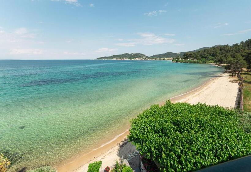 酒店 Villa Nisteri