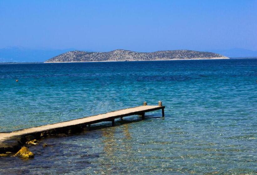 酒店 Villa Nisteri