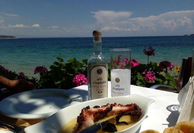 酒店 Villa Nisteri