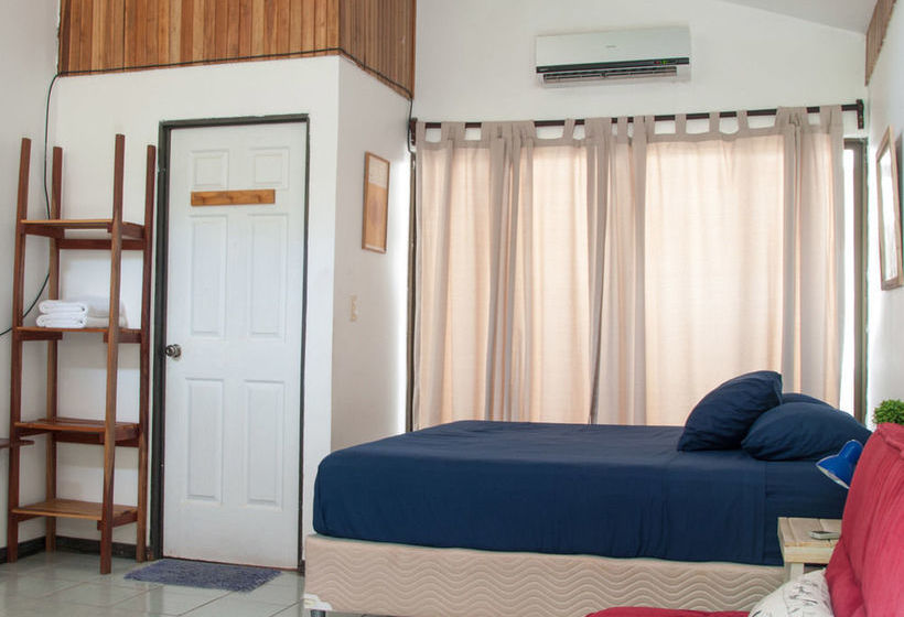 Maoritsio Garden Studios